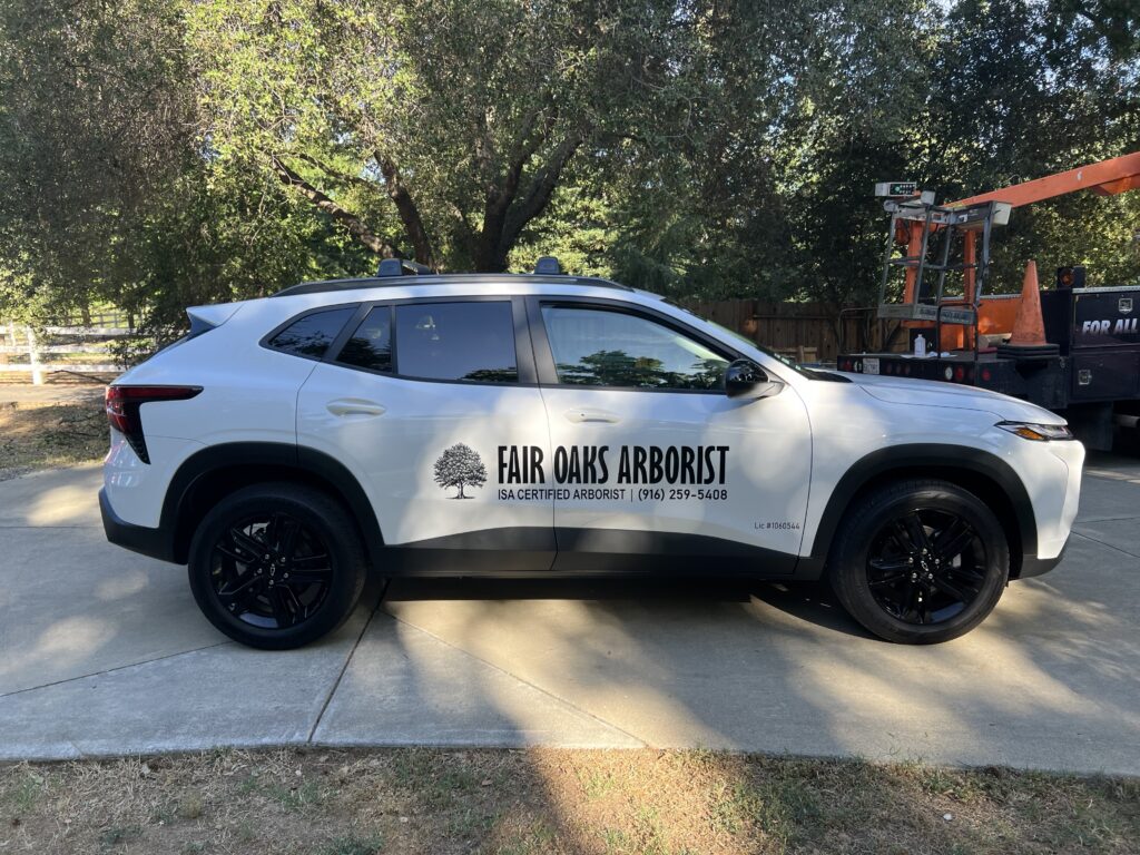 Vehicle Wraps SUV