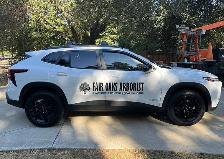 Vehicle Wraps and Decal- Signage_7812